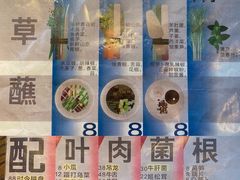-毛辣果·酸