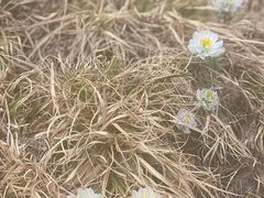 -天山天池风景区-西王母祖庙