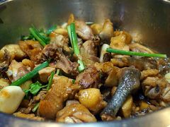 -九道菜有鸡鱼头(石鼓路店)