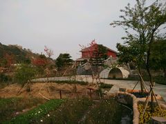 -丹樱生态园