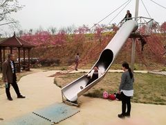 -绵阳盛世樱花悠乐谷