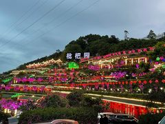 -枇杷园食为鲜火锅(南山店)