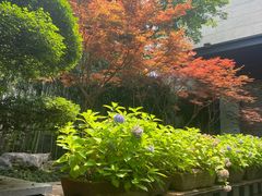 -湖滨客舍·湖北菜