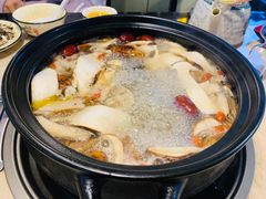 -蘑统田下·野生菌火锅