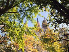 -北京石刻艺术博物馆(五塔寺)