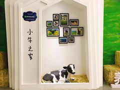 -蒙牛工业旅游景区