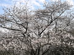 -中国茶叶博物馆(双峰馆区)