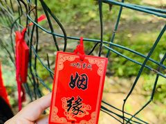 -五台山风景区