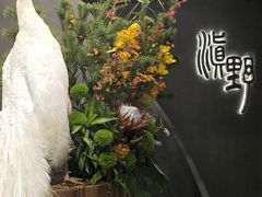 -滇野云南野生菌餐厅(陕西南路店)