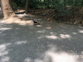 那个水池的水貌似可以直接饮用