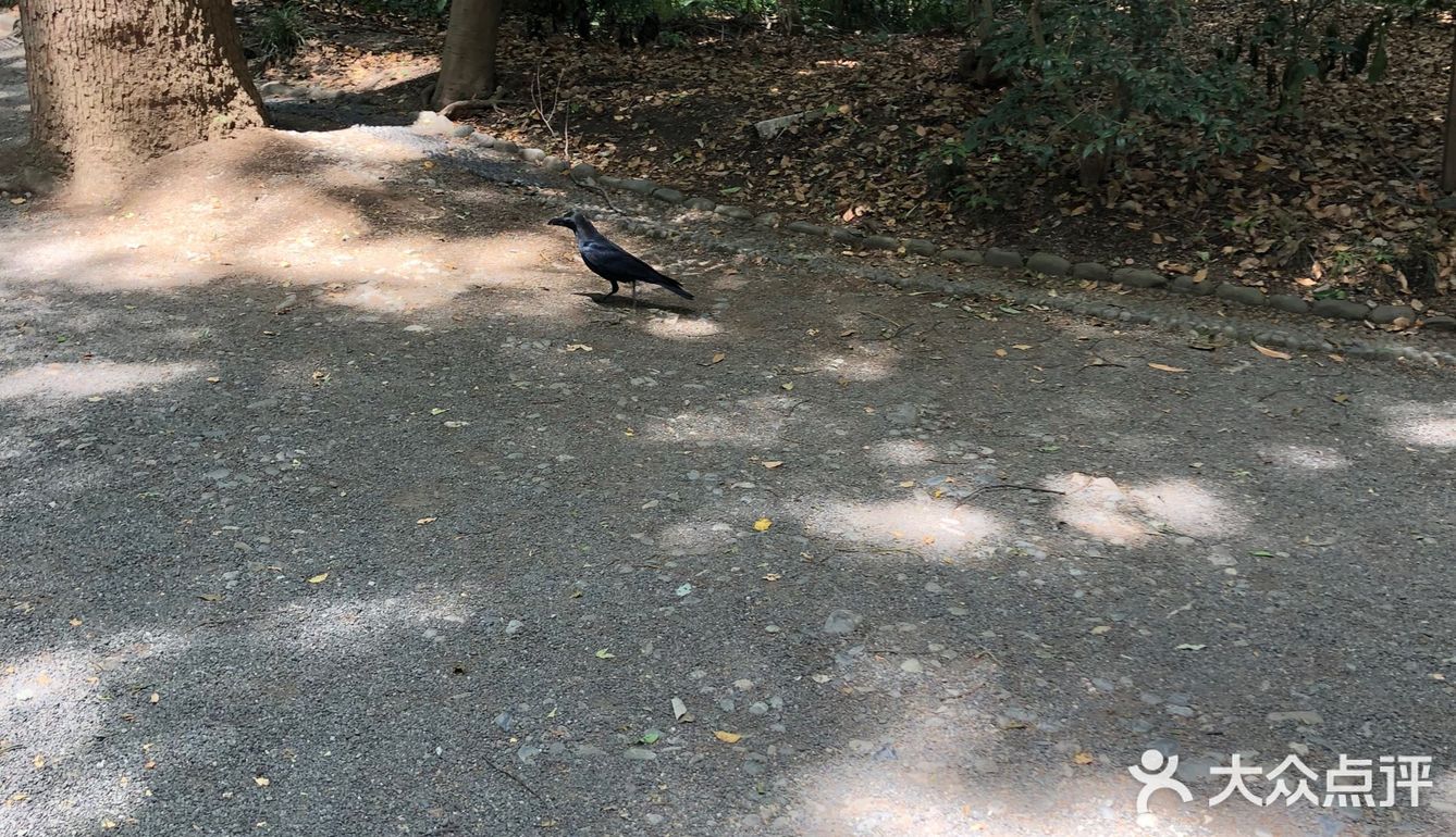 那个水池的水貌似可以直接饮用