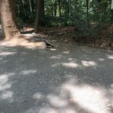 那个水池的水貌似可以直接饮用