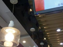 -黑龙茶HEYLONGCHA