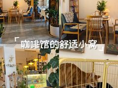 -昼夜咖啡馆