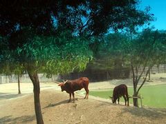 -西安秦岭野生动物园