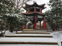 -滕州微山湖红荷湿地景区