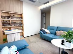 -桥恩心理咨询国际连锁(南山总店)