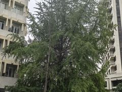 -西南交通大学(九里校区)