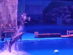 -华夏文旅海洋公园