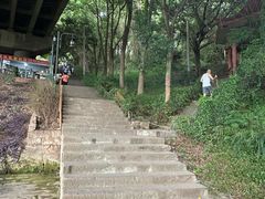 -黄葛古道