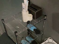 -网鱼网咖·电竞(南开百脑汇店)