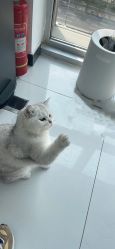 -熙.Hair 丨专注女子中长发丨