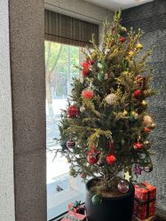 -美玫美容SPA护理中心