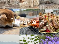 -小时光咖啡馆(开森度假森林店)