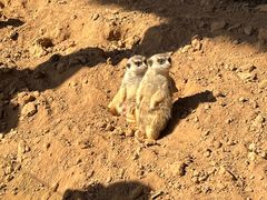 -济南野生动物世界