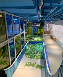 -KidSteam儿童乐园(富力城店)