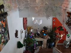 -Kitchen·Y洋厨房西餐厅(王府壹号店)