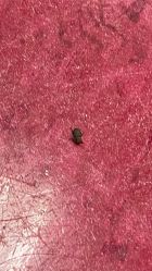 -北京新世纪儿童医院