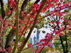 -北外滩滨江绿地