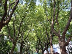 -同里湖度假村(二期店)