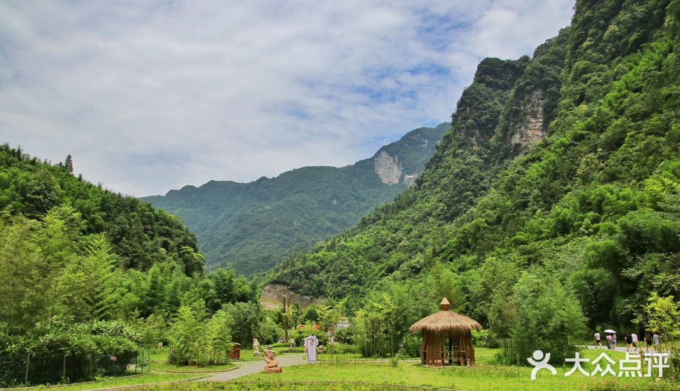宜昌小众旅游好去处——三峡竹海景区