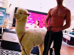 -剪刀石头布家居广场