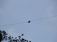 -雁荡山风景名胜区-小龙湫