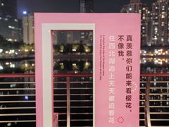-西北湖绿化广场