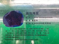 -上海大自然野生昆虫馆(东方明珠·爬宠昆虫探索中心)