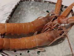 -初色海鲜自助(新辰里亚运村店)