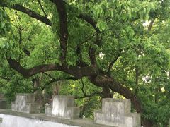-蒋氏故居