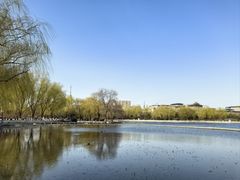 -莲花池公园