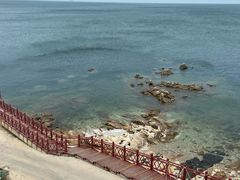 -海岛日记(养马岛店)