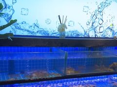 -透明思烤·自助烤肉海鲜火锅(东部星悦天地店)