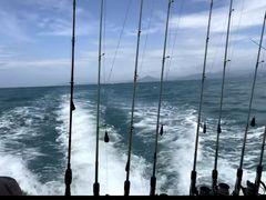 -小猫钓鱼海钓俱乐部(椰梦长廊店)