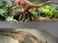 -正佳自然科学博物馆