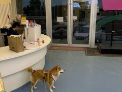 -全心全意动物诊疗中心医院(北苑店)