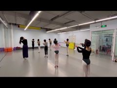 -舞蕾舞蹈·专注中国舞18年(天通苑中心校区)
