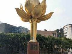 -金莲花广场