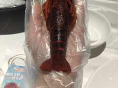 -洪福龙虾
